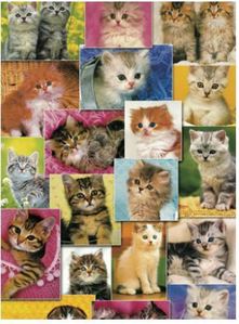 kittens[키티]1000피스